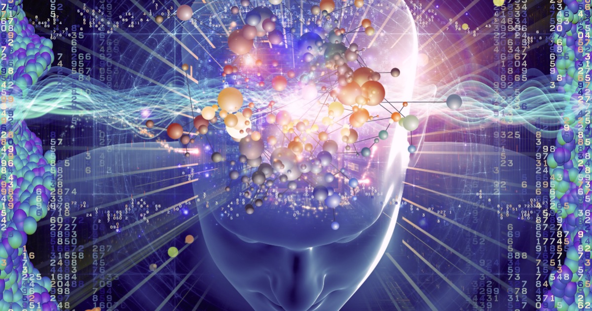 The Brain, Processing and Pain