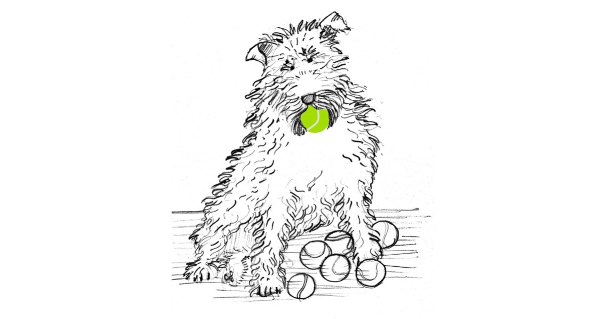 Neck or Shoulder Pain? - Get Back Into Play