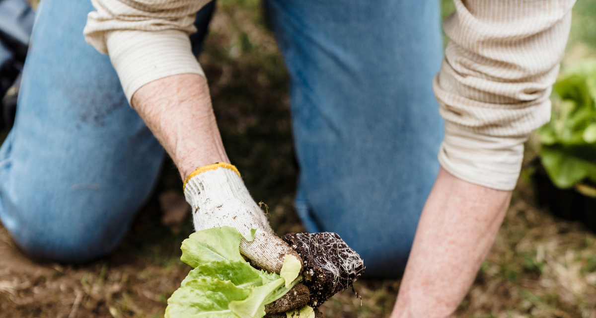 The Know-How To Moving Away From Pain